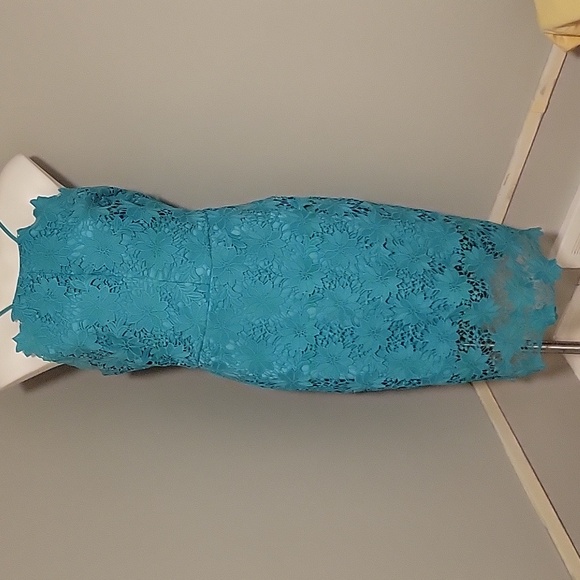 Bisou Bisou Lace Cocktail Dress - Picture 3 of 6